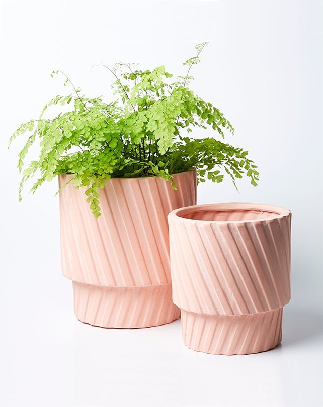 Moma Planter Set - Peach - Homewares - Republic Home
