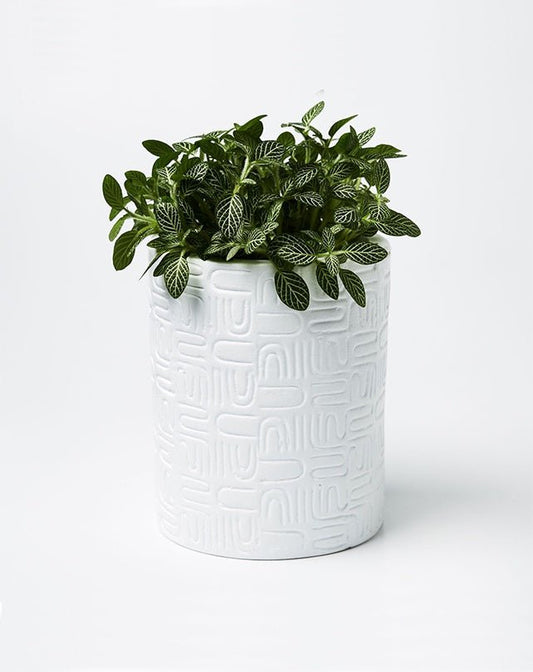 Wiggles Planter - White - Homewares - Republic Home